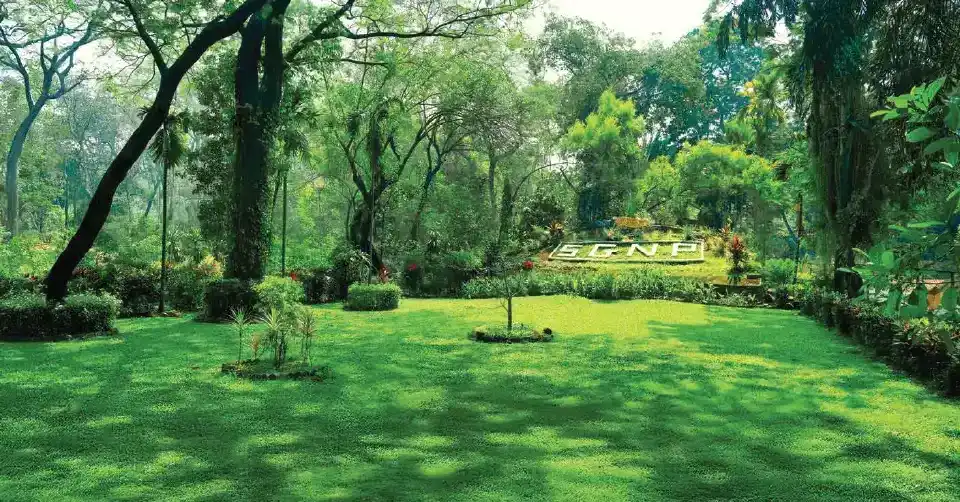 Gallery Image 6